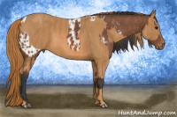 Horse Color:Bay Splash Tobiano Near Leopard  Brindle