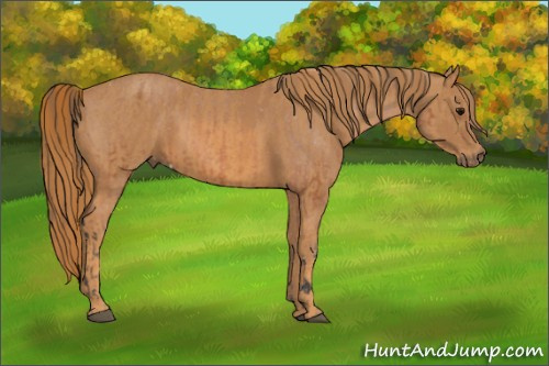 Horse Color: Bay Splash Tobiano Varnish  Brindle