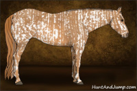 Horse Color:Bay Splash Tobiano Leopard  Brindle