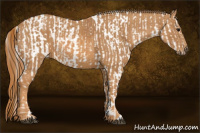 Horse Color:Bay Splash Tobiano Appaloosa Brindle