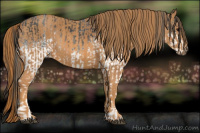 Horse Color:White Spotted Blue Roan Rabicano  Brindle