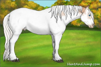 Horse Color:Silver Bay Pearl Splash Tobiano Frame 