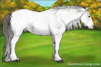 Horse Color:White Spotted Grullo Snowcap Rabicano  Brindle