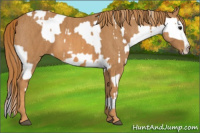 Horse Color:White Spotted Grullo Near Fewspot Rabicano  Brindle