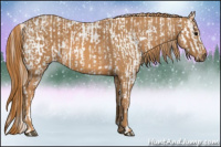 Horse Color:White Spotted Silver Grullo Appaloosa Rabicano  Brindle