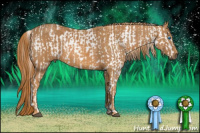 Horse Color:White Spotted Grullo Pearl Splash Appaloosa Rabicano  Brindle