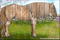 Horse Color:White Spotted Liver Red Dun Snowcap Rabicano  Brindle
