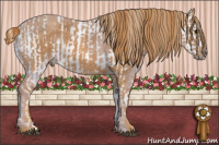 Horse Color:White Spotted Silver Grullo Snowcap Rabicano  Brindle