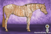 Horse Color:Grullo Pearl Tobiano Rabicano Brindle