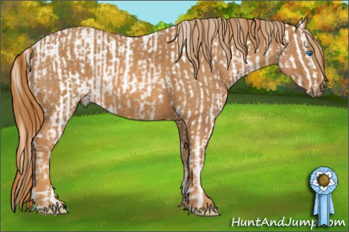 Horse Color: White Spotted Buckskin Pearl Dun Splash Tobiano Snowcap Rabicano  Brindle