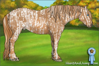 Horse Color:White Spotted Buckskin Pearl Dun Splash Tobiano Appaloosa Rabicano  Brindle
