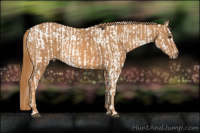 Horse Color:White Spotted Black Pearl Appaloosa Rabicano  Brindle