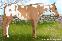 Horse Color:White Spotted Grullo Appaloosa Rabicano Brindle