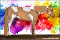 Horse Color:White Spotted Grullo Appaloosa Rabicano  Brindle