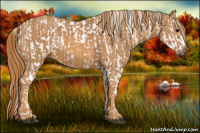 Horse Color:White Spotted Grullo Near Fewspot Rabicano  Brindle