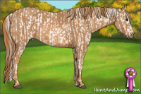 Horse Color:White Spotted Grullo Near Fewspot Rabicano  Brindle