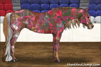 Horse Color:White Spotted Grullo Appaloosa Rabicano  Brindle