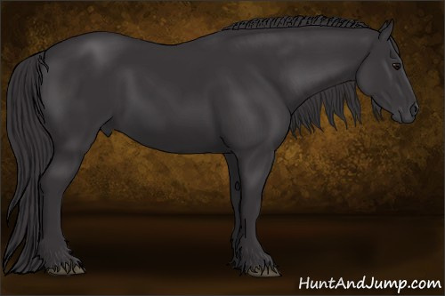 Horse Color: Buckskin 
