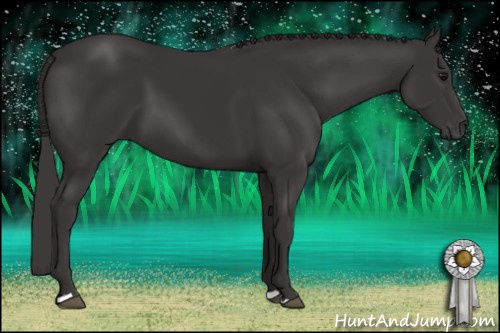 Horse Color: Buckskin 