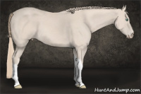 Horse Color:Perlino 