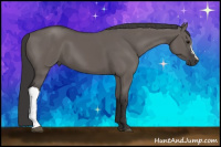 Horse Color:Buckskin Dun