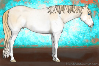 Horse Color:Buckskin Pearl Splash 