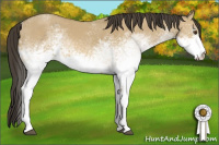 Horse Color:White Spotted Buckskin Dun Rabicano 