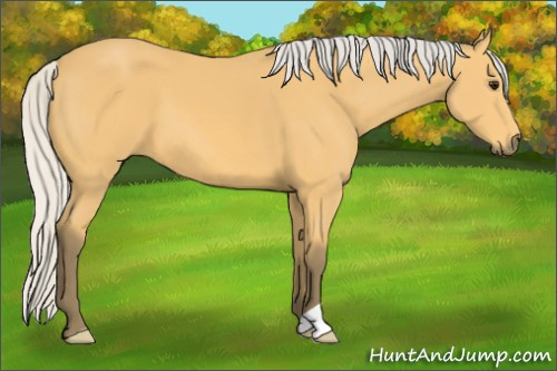 Horse Color: Silver Buckskin 