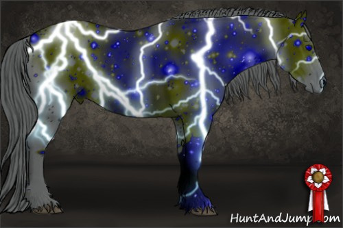 Horse Color: ERROR: UNKNOWN ANOMALY