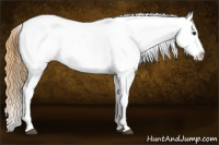 Horse Color:Buckskin Roan Dun Splash Snowcap 
