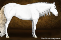 Horse Color:Buckskin Roan Blanket 
