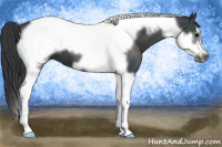 Horse Color:Black Tobiano Frame
