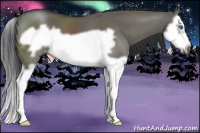 Horse Color:Grullo Splash Frame 