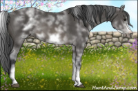 Horse Color:White Spotted Brown Frame 