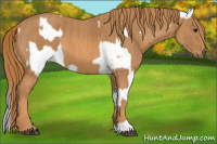 Horse Color:Brown Near Leopard  Brindle