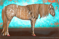 Horse Color:Brown Near Leopard  Brindle