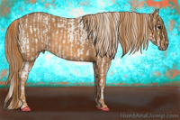 Horse Color:Brown Appaloosa  Brindle