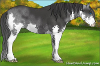 Horse Color:Brown Splash