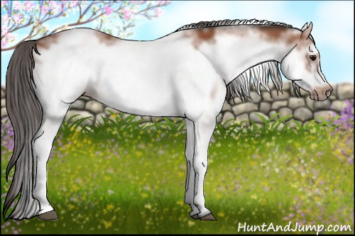 Horse Color: White Spotted Bay Frame 