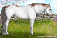 Horse Color:White Spotted Bay Frame