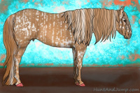 Horse Color:Brown Appaloosa Brindle