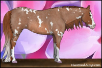 Horse Color:White Spotted Liver Red Roan Splash