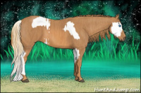 Horse Color:Buckskin Splash Blanket  Brindle