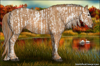 Horse Color:Brown Appaloosa Brindle