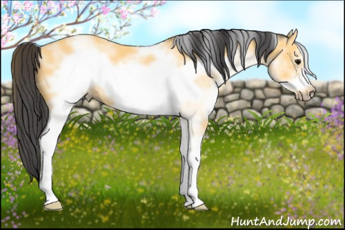 Horse Color: White Spotted Buckskin Frame 