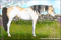 Horse Color:White Spotted Buckskin Frame 