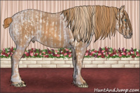 Horse Color:Perlino Splash Frame  Brindle