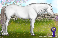 Horse Color:Bay Tobiano Blanket 