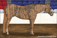Horse Color:Brown Splash Frame Brindle