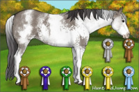 Horse Color:White Spotted Smoky Grullo 